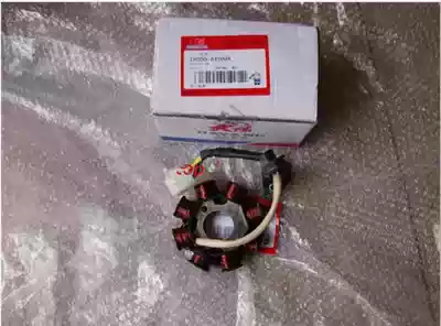 Dayang original parts Dayang 110-18 18A 28A stator assembly Magneto coil