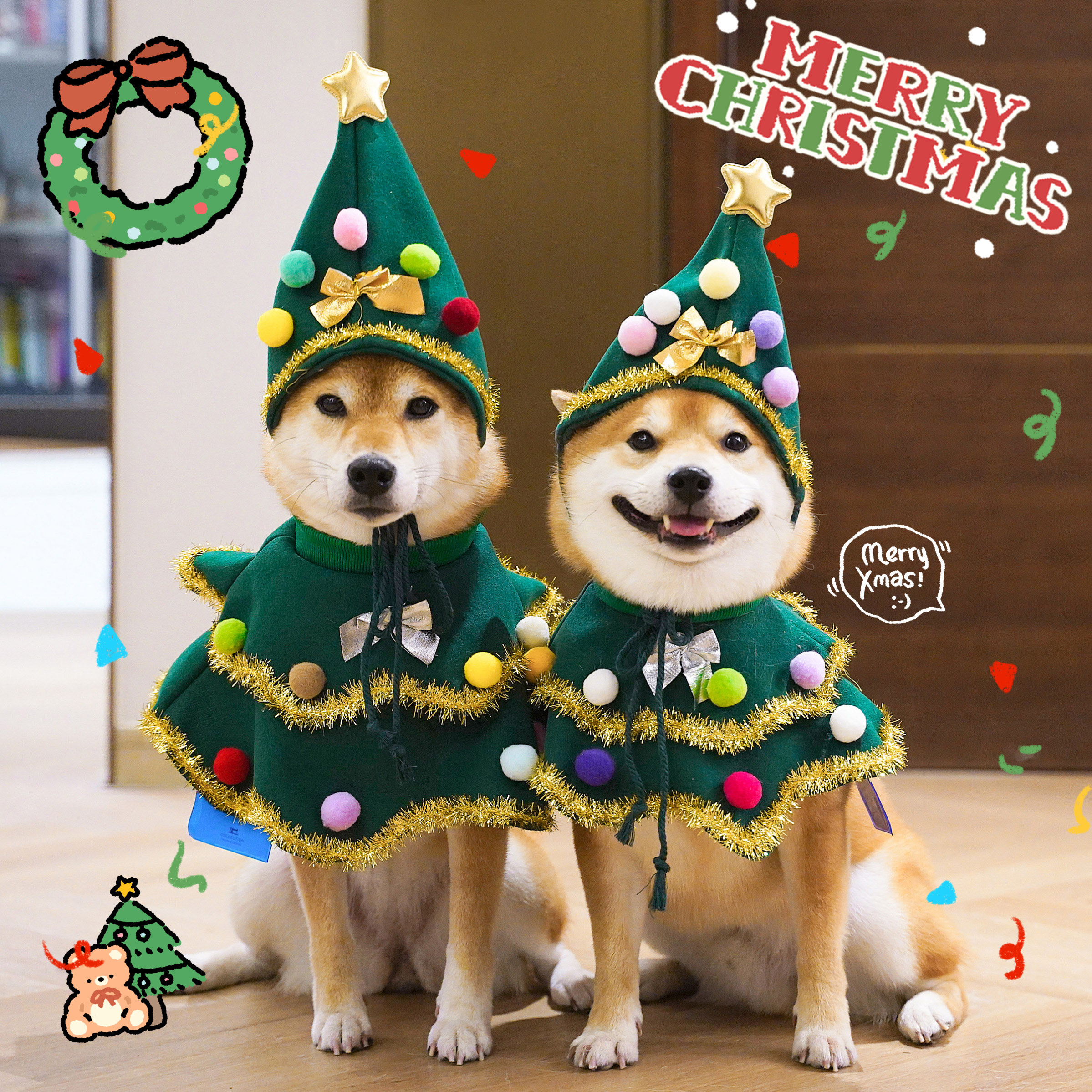 Walking Christmas Tree Dogs Christmas Clothes Chai Dog Cute Scarf Collar Hat Autumn Winter Festive Photo Decorations-Taobao