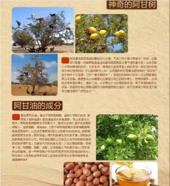 Entretien pour perruques - Ref 272344 Image 7