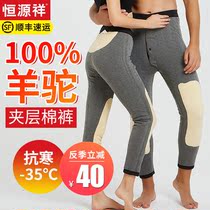  Hengyuanxiang camel wool cotton pants for men and women thickened northeast high waist plus velvet winter alpaca wool warm pants large size to wear inside