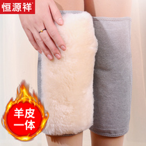 Hengyuanxiang pure wool knee protector warm old cold legs female and male calf joint elderly windproof paint cover