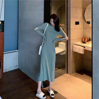 Dress women's 2020 autumn and winter thin style new Korean style over-the-knee long skirt light and mature style slimming long bottoming skirt trendy