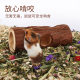 Golden Bear Hamster Teething Toy Tree Hole Solid Wood Pipe Solid Wood Landscaping Dodge Decorative Tree Tube ອຸປະກອນປະຈໍາວັນ