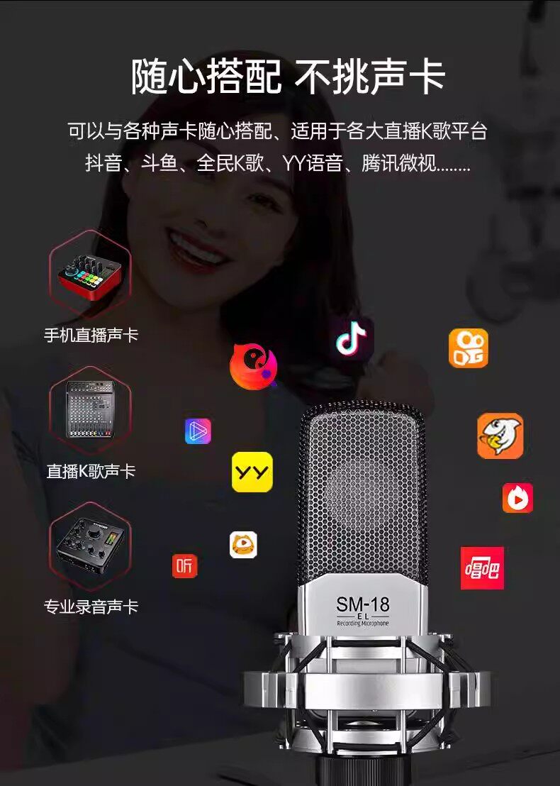 Микрофон takstar/得胜sm-18 el粉色电容麦克风直播设备录音唱歌电脑声卡