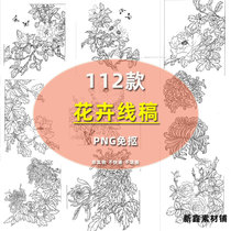 Chinese painting flower hand-painted line manuscript Camellia peony rose chrysanthemum PNG buckle free drawing line drawing meticulous painting design material