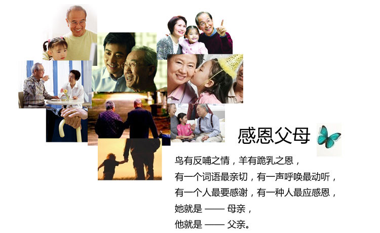 Kính đọc sách thời trang nữ siêu nhẹ chống mỏi ống kính nhựa cao cấp HD ông già thanh lịch kính râm cũ kính viễn thị kính râm cận