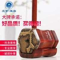 Erhu cụ người mới bắt đầu kiểm tra chuyên nghiệp Châu Phi khối lượng gỗ hồng mộc erhu sao biển gụ huqin - Nhạc cụ dân tộc sáo trúc