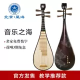 Xinghai Pipa музыкальный инструмент Музыка Морская древесина кости цветок Arnu Guyu Wood Shaft Junior Performance Pipa 8911y