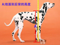 Dog wheelchair measurement chart - - - Follow the measurement diagram below on the detail page Thank you 