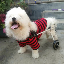 Dog wheelchair Paralyzed dog scooter Disabled dog auxiliary hind leg exercise car Broken leg dog pet car Rehabilitation wheelchair