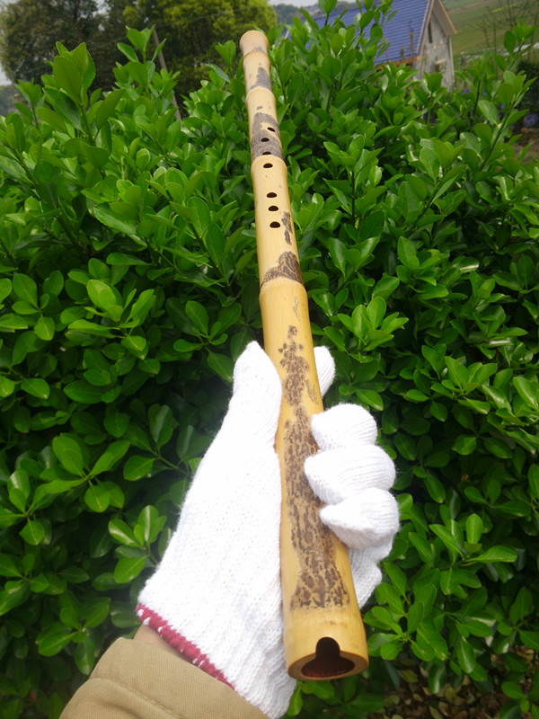 Handmade nhạc cụ dân gian truyền thống tre Xiangzhu 箫 Tre 箫 Bộ sưu tập báu vật Đông Nam Qinqin các loại đàn cổ cầm