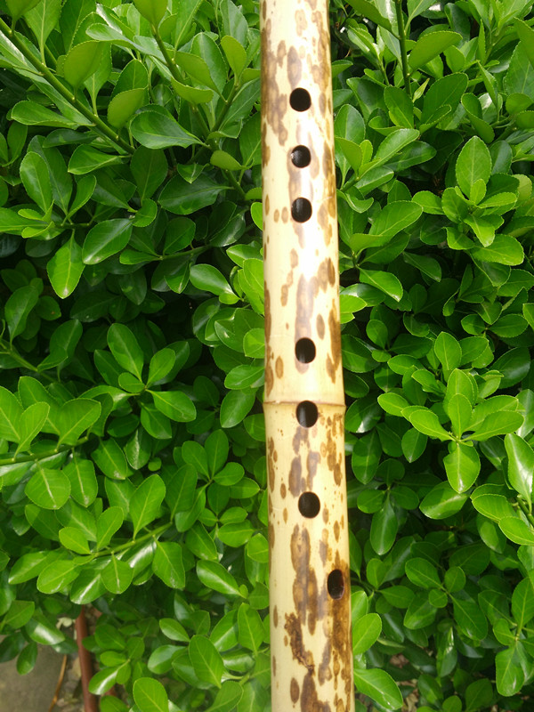 Handmade nhạc cụ dân gian truyền thống tre Xiangzhu 箫 Tre 箫 Bộ sưu tập báu vật Đông Nam Qinqin các loại đàn cổ cầm