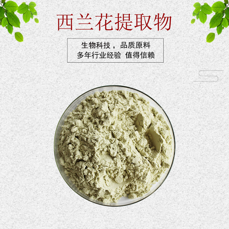 西兰花提取物30:1 西兰花蛋白50% 西兰花浓缩粉 量大从优 包邮