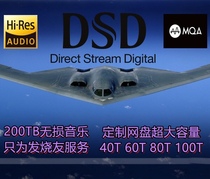 HIRESDSDLP high-quality high-definition audio source enthusiasts collect various capacity network disk customization the price is 100T