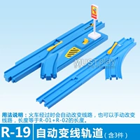 R-19