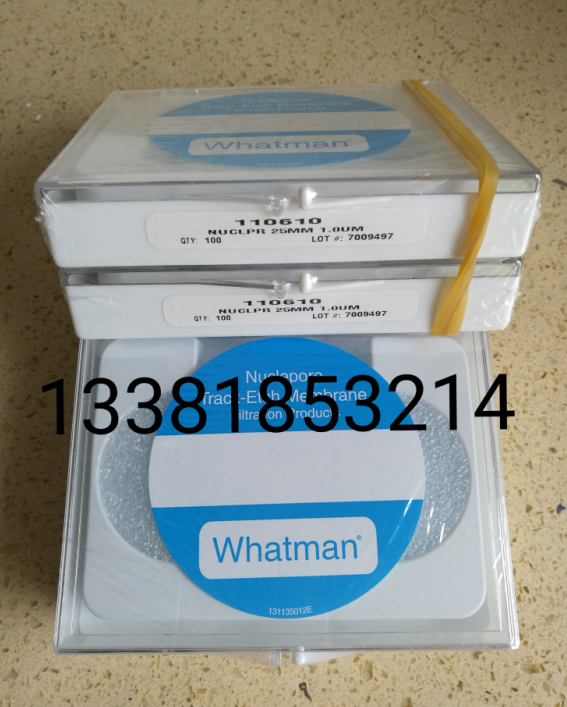WHATMAN 1/0.05um Nuclepore 25mm聚碳酸酯PC膜10418706/110603