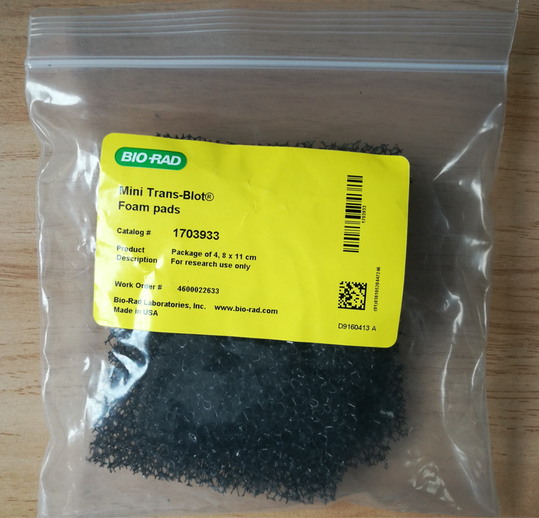 Bio-Rad伯乐170-3933凝胶转印海绵垫1703933 Foam Pads