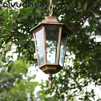 Pastoral simple rainproof outdoor chandelier grape rack waterproof chandelier garden lamp corridor staircase street lamp