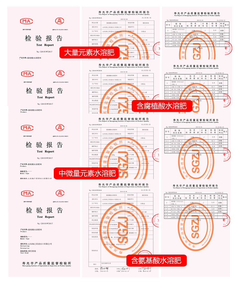 登记证号