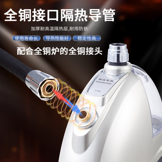 Genuine Puer F-132 steam hanging ironing machine high power strong steam handheld clothing store household iron