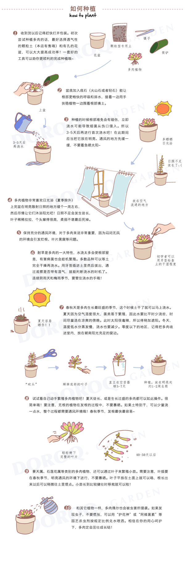 Mọng nước phổ biến đặc biệt cong miệng vắt nước tưới chậu làm vườn cung cấp hoa phun 250ML nhọn - Nguồn cung cấp vườn chậu trồng hoa