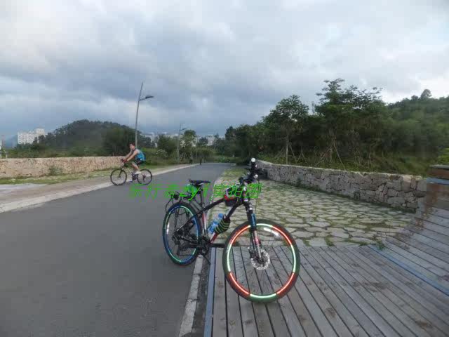 Autocollant pour vélo - Ref 2283205 Image 16