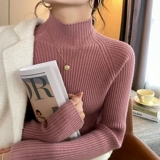 Приятный телу цветной осенний удерживающий тепло трикотажный свитер, высокий воротник, изысканный стиль, облегающий крой