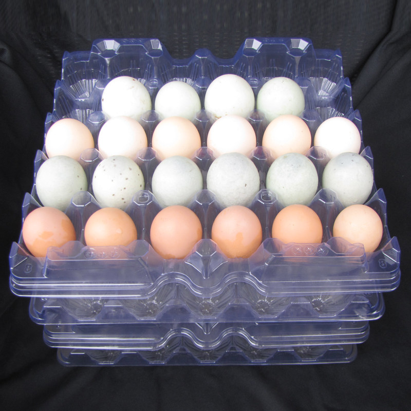Direct sales 30 eggs simple tray Egg week turntable Disposable transparent plastic egg tray egg box