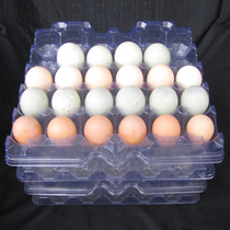 Direct selling 30 eggs simple tray egg turnover tray disposable transparent plastic egg tray egg box