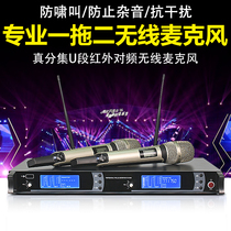 SKM9000 professional one drag two wireless microphone stage wedding true diversity U segment performance long distance microphone