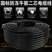 Antifreeze power cord flexible wire GB 2 5 4 6 square 2 3 core wire cable outdoor sheath 100 m