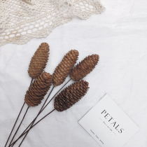 Pinta pinecone dried flowers Natural Pinta head diy flower arrangement ornaments vintage living room home decoration dried flowers Eternal flowers