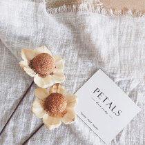 Pine conch fruit natural pine conch ball fruit shell fruit dried flower Nordic home decoration diy flower arrangement material branch