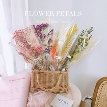 ins Han style full of stars Yongsheng Flowers Dried Flowers Little Bouquet Real Flowers Teachers Birthday Gifts Send Teachers Girlfriend