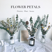 ins decoration immortalized flowers Eucalyptus leaves dried flower bouquet Home furnishings small fresh living room ornaments with vases