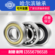 Full head Harbin deep groove ball bearing 6000ZZ 6206ZZ 6308ZZ iron cover bearing