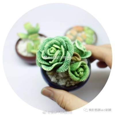 Fleshy illustration Crochet illustration Crochet DIY wool electronic tutorial Non-finished product No video