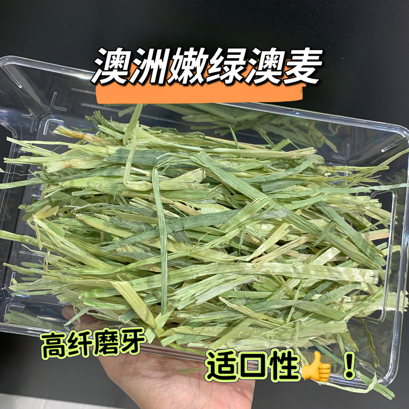 Australian Oat Grass Is Rich in Fiber, Good for the Stomach and Teeth, Has Excellent Palatability, and Is Hand-Selected from the Best Quality Green Australian Oats