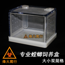 Professional Mantis Breeding Box High Transparent Rearing Cage Bamboo Arthropod Insect Cage Reptile Advanced Observation Box