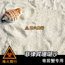 Philippine sand coral sand hermit crab special sand shell sand wash sea tank natural landscape