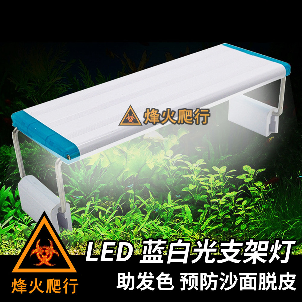 LED blue white light bracket light sustenant crab mnemonic strawberry light purple enhanced body color eco-lighting water straw lamp