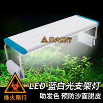 LED blue white light bracket light sustenant crab mnemonic strawberry light purple enhanced body color eco-lighting water straw lamp