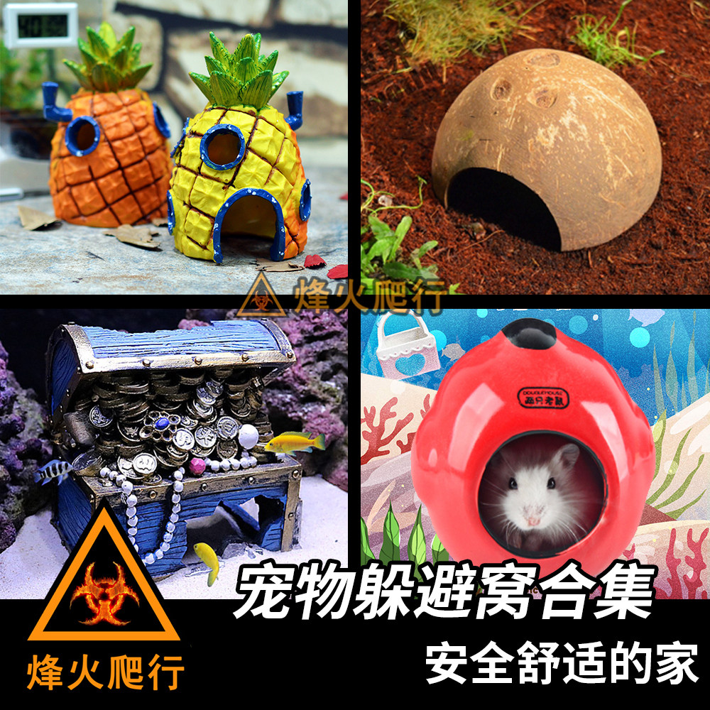 Collection of pet shelters Hermit crab hamster resin cave Natural coconut shell with rope ladder Ceramic cartoon