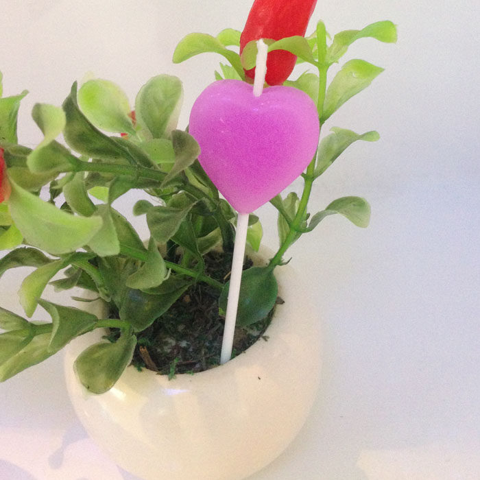 Bougie - Ref 2490381 Image 10