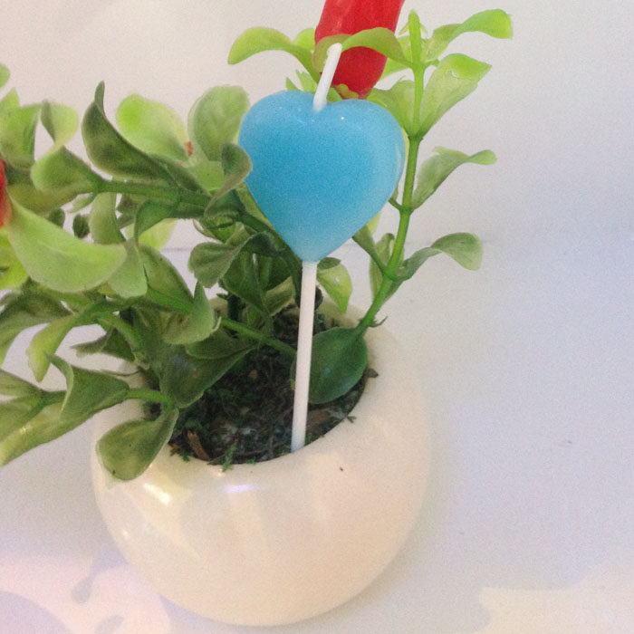 Bougie - Ref 2490381 Image 9