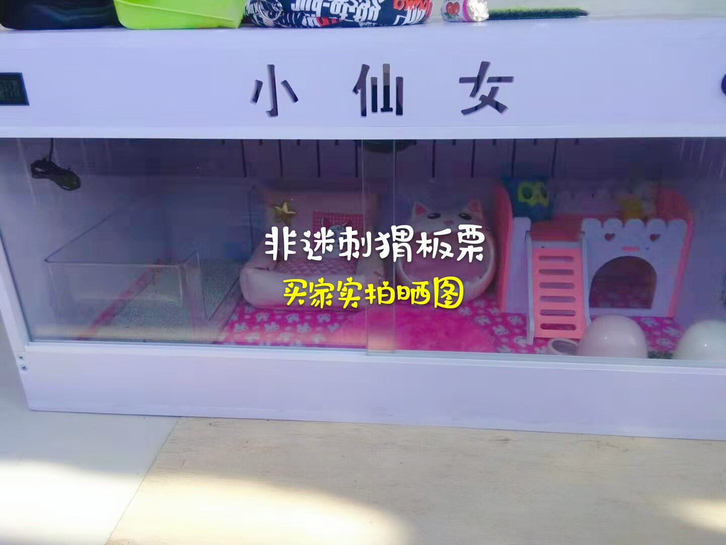 Аксессуары для рептилии pvc刺猬爬箱爬虫饲养箱 芦丁鸡蜥蜴陆龟守宫宠物加热保温箱爬宠箱