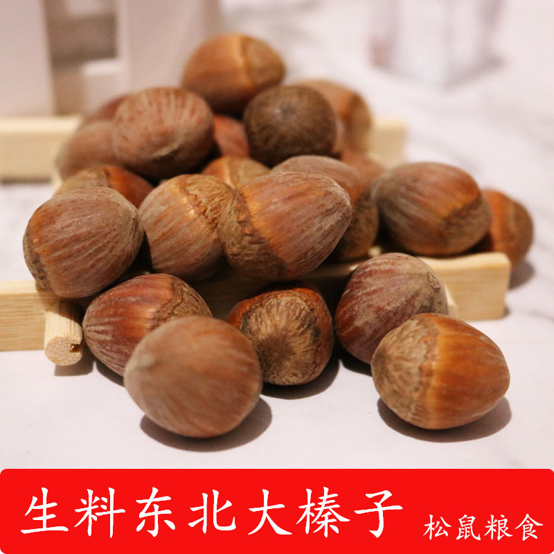 Devil Snow Squirrel Flying Squirrel Grain Food Wild Northeast Hazelnut Raw Nut Molar Snack Feed Staple Food