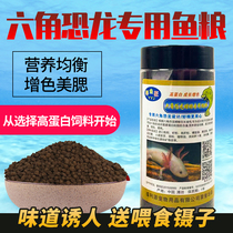 Six-hexagonal dinosaur special feed hexagonal Longeva Wawa Oriental salamander special sunken undertype fish food fish food