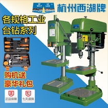  Authentic Hangzhou West Lake Industrial bench drill Heavy drilling machine High precision Z516 16mm 20mm 25mm 32mm