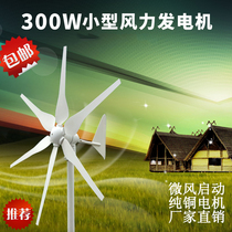  300W wind turbine 12V24v household 220v small wind power generation combination wind and solar complementary power generation